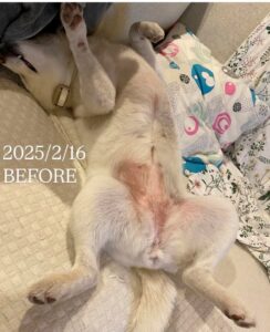 アトピー性皮膚炎BEFORE