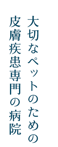 動物皮フ科専門病院